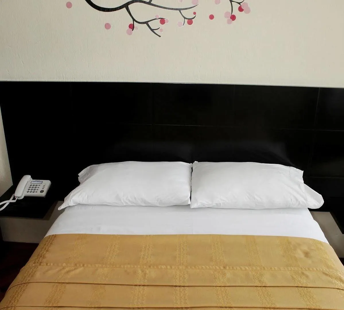 Hostel Hostal Capri Quito